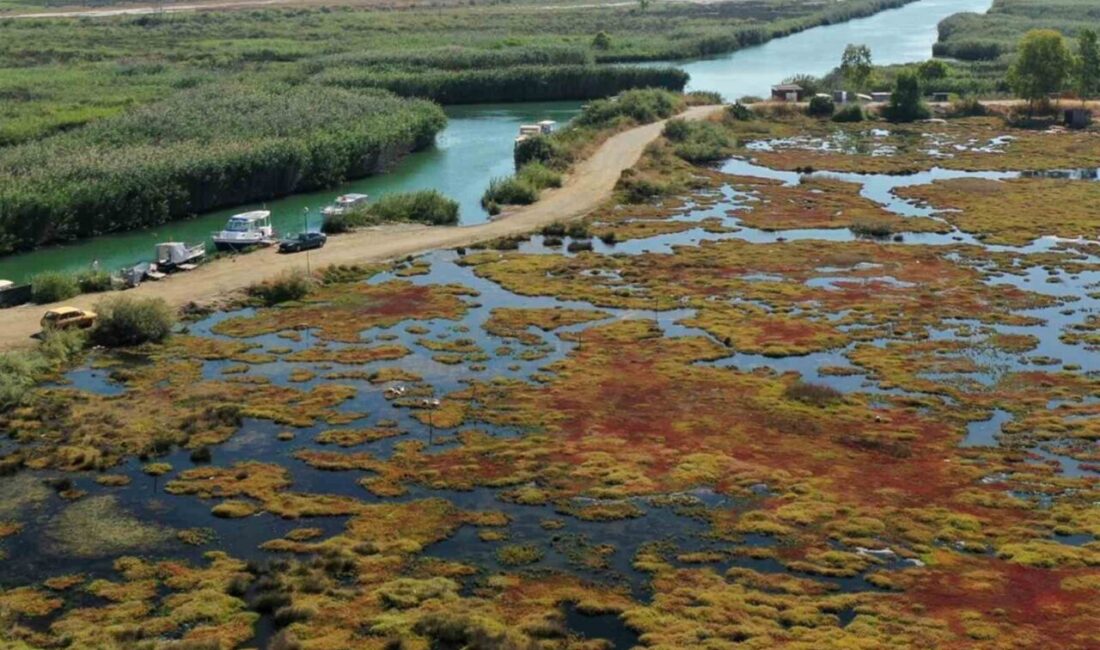 Muğla’nın Ula İlçesindeki Gökçe Sulak Alanı, Koruma Projeleriyle Yeniden Hayat Buluyor Muğla'nın Ula ilçesindeki 6 hektarlık Gökçe Sulak Alanı, Akdeniz Koruma
