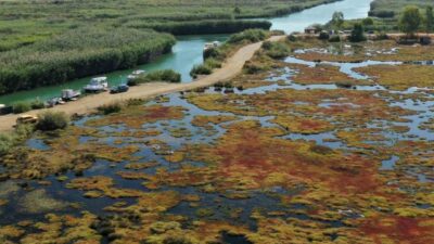 Muğla'nın Ula ilçesindeki 6 hektarlık Gökçe Sulak Alanı, Akdeniz Koruma