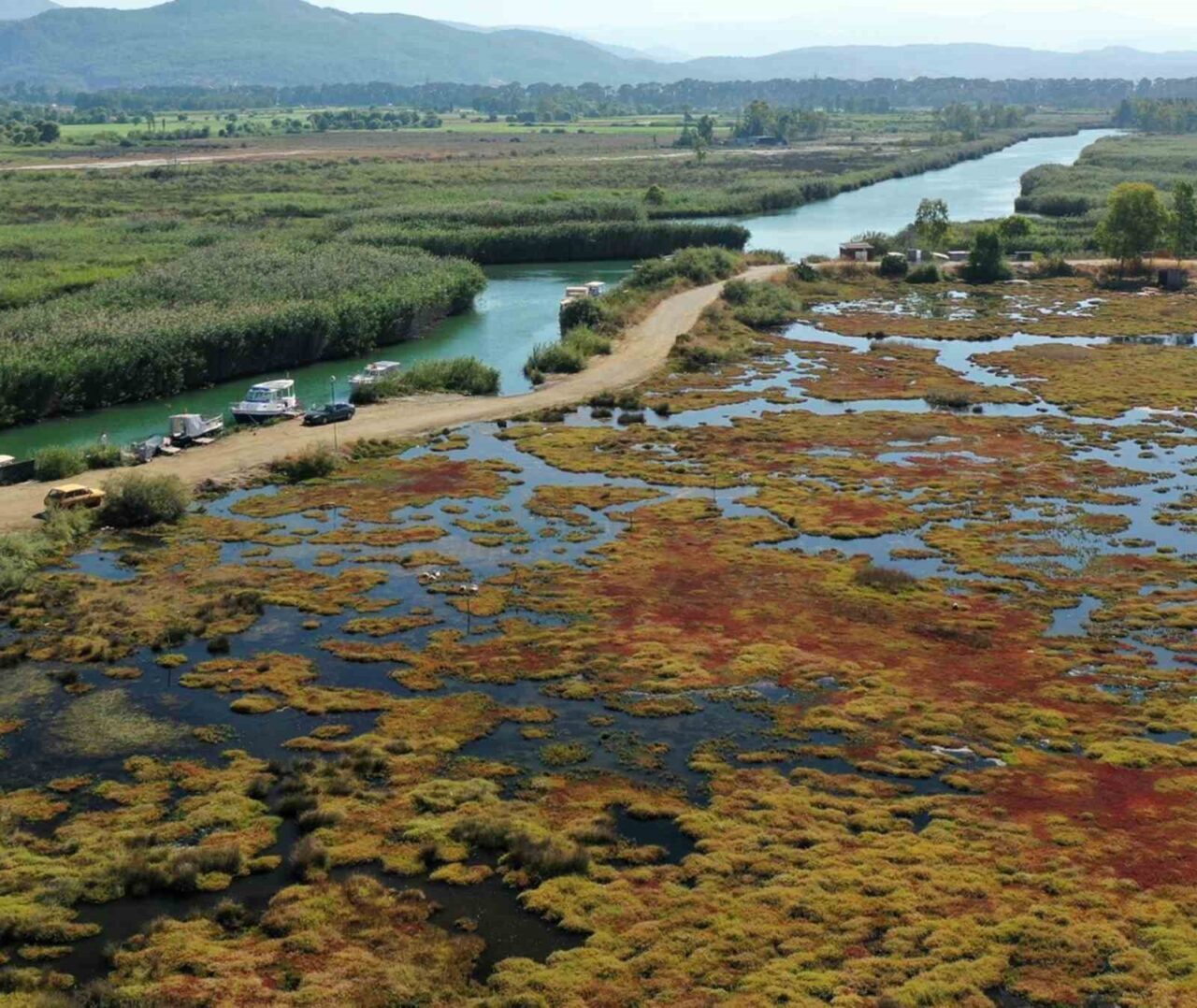 Muğla'nın Ula ilçesindeki 6 hektarlık Gökçe Sulak Alanı, Akdeniz Koruma