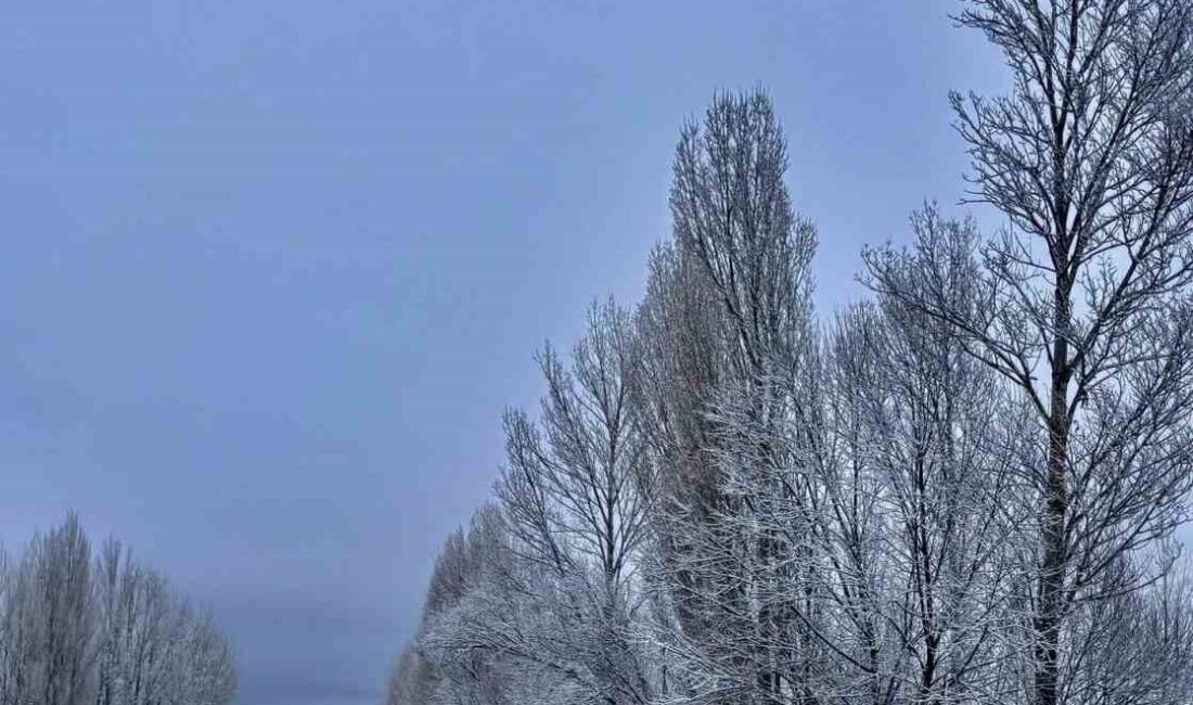 Bayburt'un Gökçedere beldesinde etkili olan kar yağışı, bölgede sıcaklıkların düşmesine