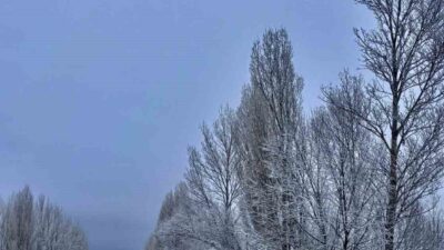 Bayburt'un Gökçedere beldesinde etkili olan kar yağışı, bölgede sıcaklıkların düşmesine