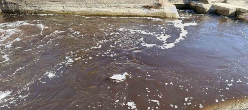 Göksu Nehri, Silifke’de siyah akmaya başladı; çevre denetimi başlatıldı.