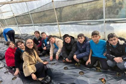 Gördes’te çilekler engelliler için yetişecek