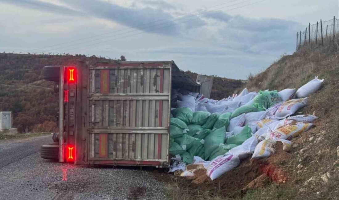 Manisa'nın Gördes ilçesinde Ümit Balta'nın kullandığı yem yüklü tır, virajda