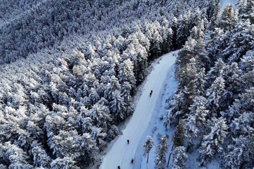 Gümüşhane’nin dağları kışın zarif yüzünü kar yağışıyla sergiliyor.