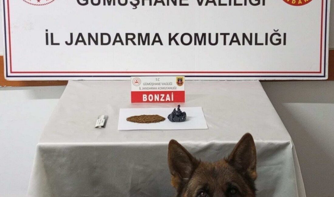 Gümüşhane’de Jandarma Ekipleri, Uyuşturucu Operasyonunda İki Şüpheliyi Yakaladı Gümüşhane'de jandarma, Trabzon'dan uyuşturucu getireceği tespit edilen B.T.Y. ve V.B.A.