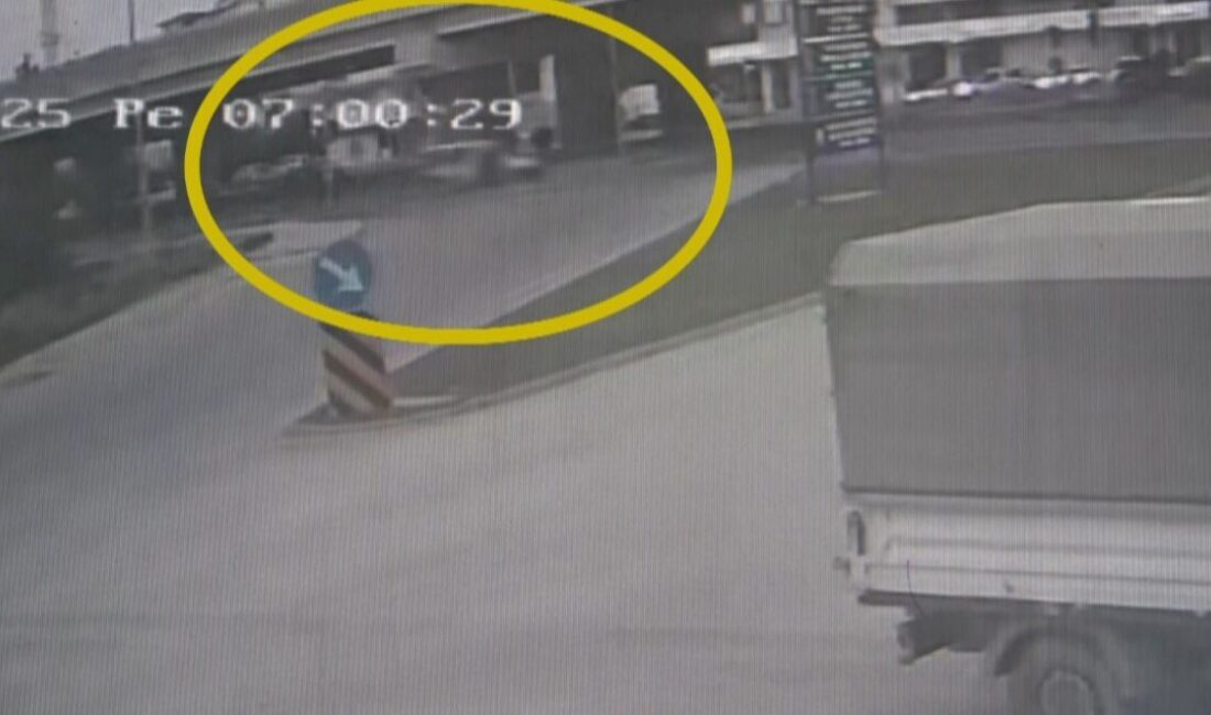 Antalya'nın Manavgat ilçesinde bir hafif ticari aracın sürücüsü Mehmet F.