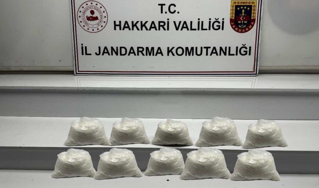 Hakkari’nin Yüksekova ilçesinde, jandarma ekipleri tarafından yürütülen operasyonda N.Ö. ve