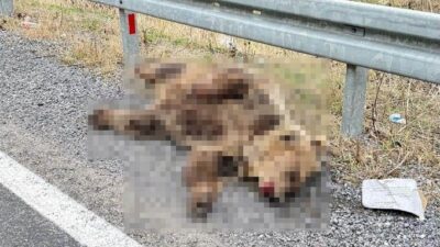 Hakkari-Van karayolunda meydana gelen bir olayda, 1. Tünel mevkiinde bir