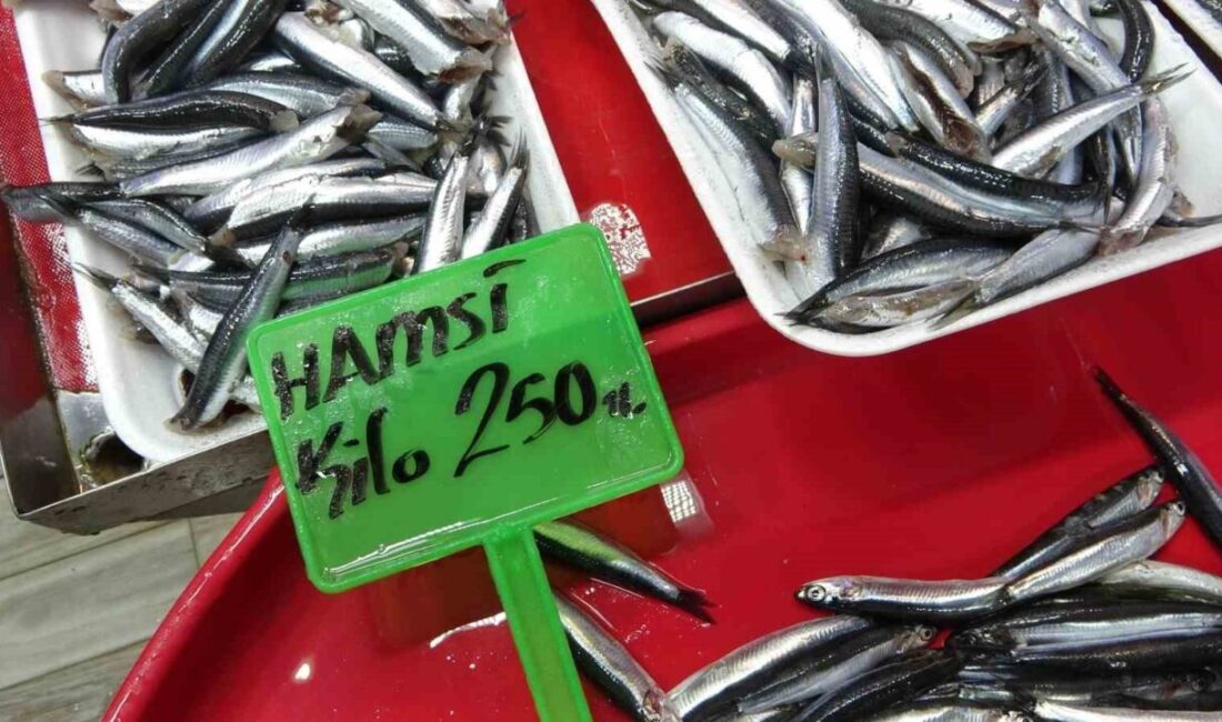Karadeniz’deki Hamsi Avı, Piyasalarda Şok Etki Yaratıyor DEM-BİR Çanakkale-Tekirdağ Bölge Birliği Başkanı Naci Karabiber, Karadeniz'de yoğun hamsi