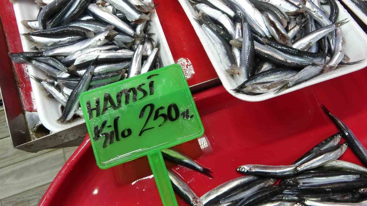 DEM-BİR Çanakkale-Tekirdağ Bölge Birliği Başkanı Naci Karabiber, Karadeniz'de yoğun hamsi