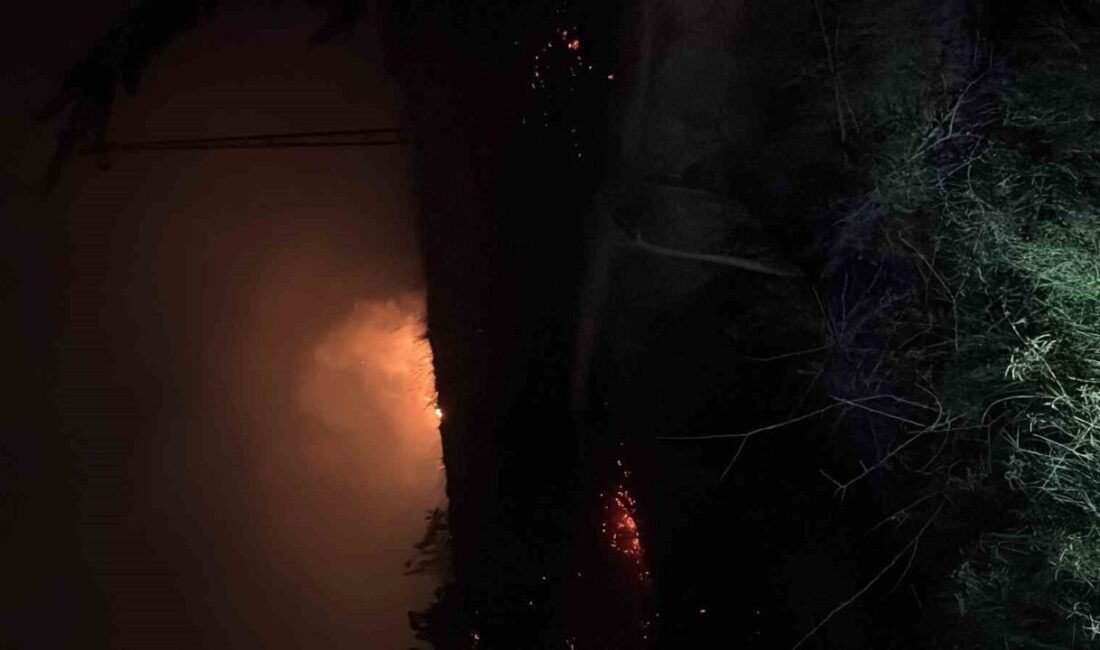 İskenderun’da Otluk Alanda Çıkan Yangın, Hızlı Müdahale ile Söndürüldü Hatay'ın İskenderun ilçesinde boş bir arazideki ot alanda çıkan yangın,