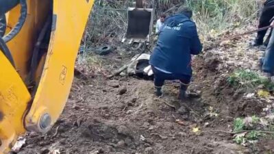 Hatay'ın Kırıkhan ilçesinde Torun Mahallesi'nde otlarken dereye düşen inek, itfaiye