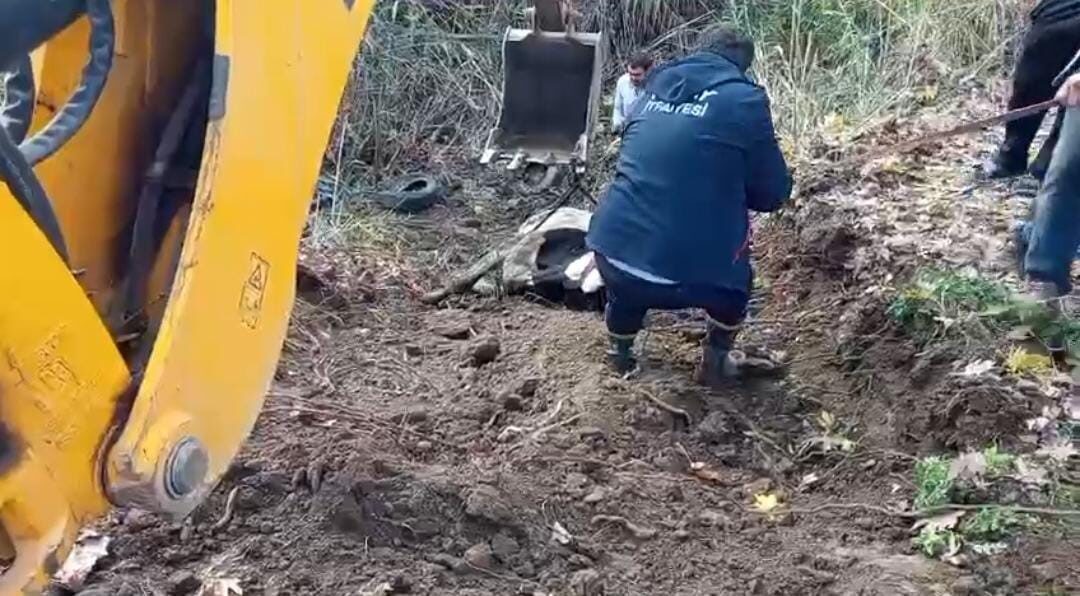 Kırıkhan’da Dereye Düşen İnek İtfaiye Ekipleri Tarafından Kurtarıldı Hatay'ın Kırıkhan ilçesinde Torun Mahallesi'nde otlarken dereye düşen inek, itfaiye