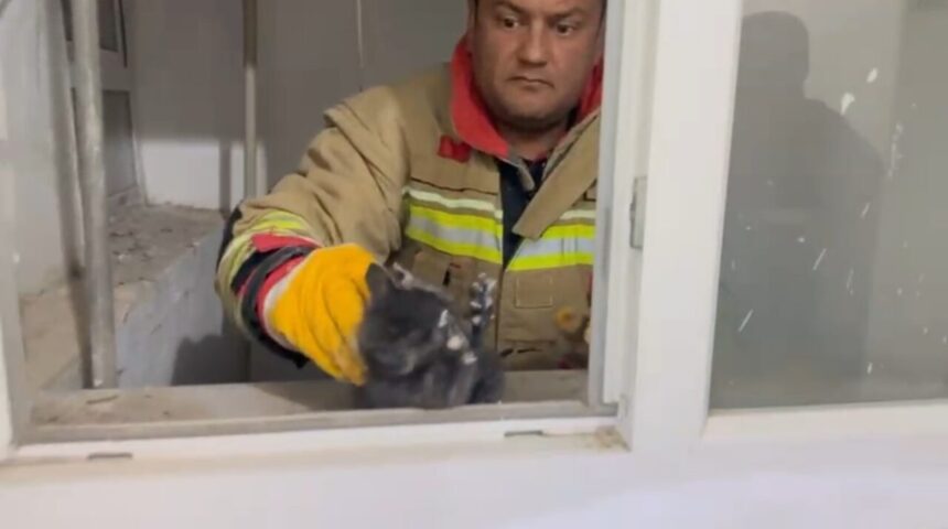 Hatay’ın Arsuz ilçesinde havalandırma boşluğunda kalan yavru kedi, itfaiye ekiplerinin müdahalesiyle kurtarıldı.
