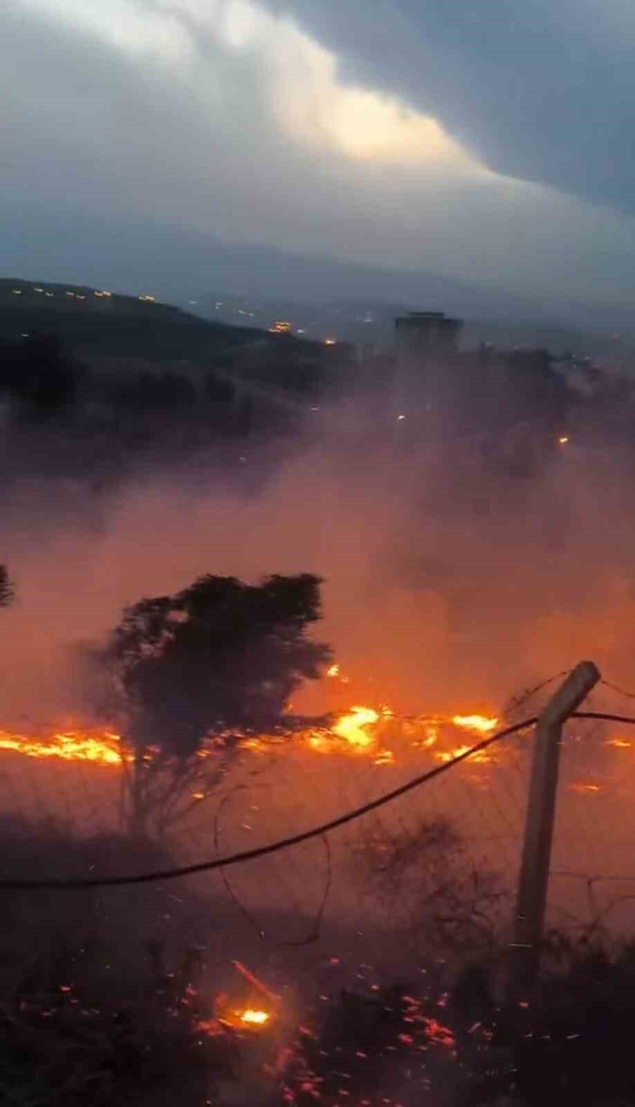 Hatay'ın İskenderun ilçesinde Buluttepe Mahallesi'nde otluk alanda çıkan yangın, Orman