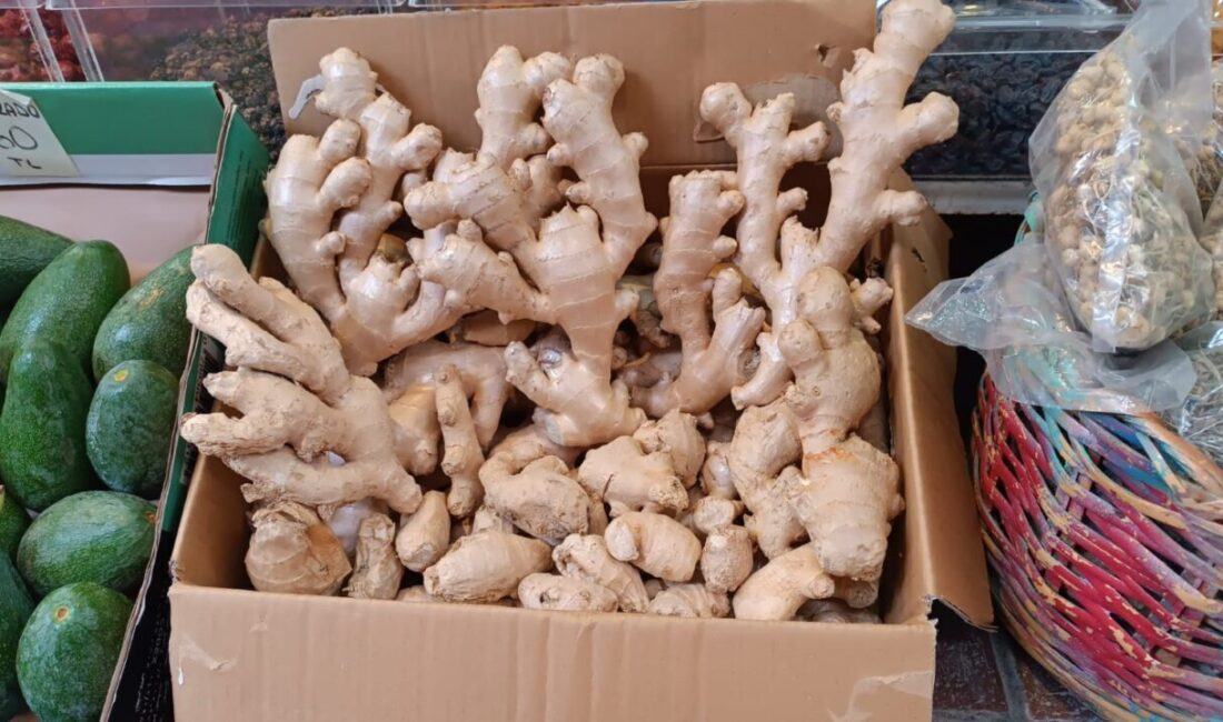 Bolu’da Soğuk Hava Etkisiyle Yaş Zencefil Satışlarında Artış Yaşanıyor Bolu'da soğuk havalarla birlikte, vatandaşlar üst solunum yolu enfeksiyonlarına karşı