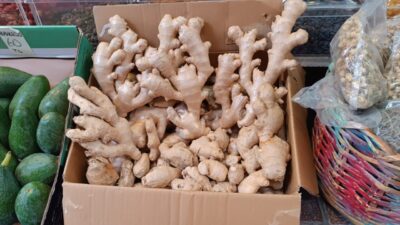 Bolu'da soğuk havalarla birlikte, vatandaşlar üst solunum yolu enfeksiyonlarına karşı