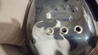 Kayseri Büyükşehir Belediyesi İtfaiye Daire Başkanlığı ekipleri, Melikgazi'deki bir apartmanın