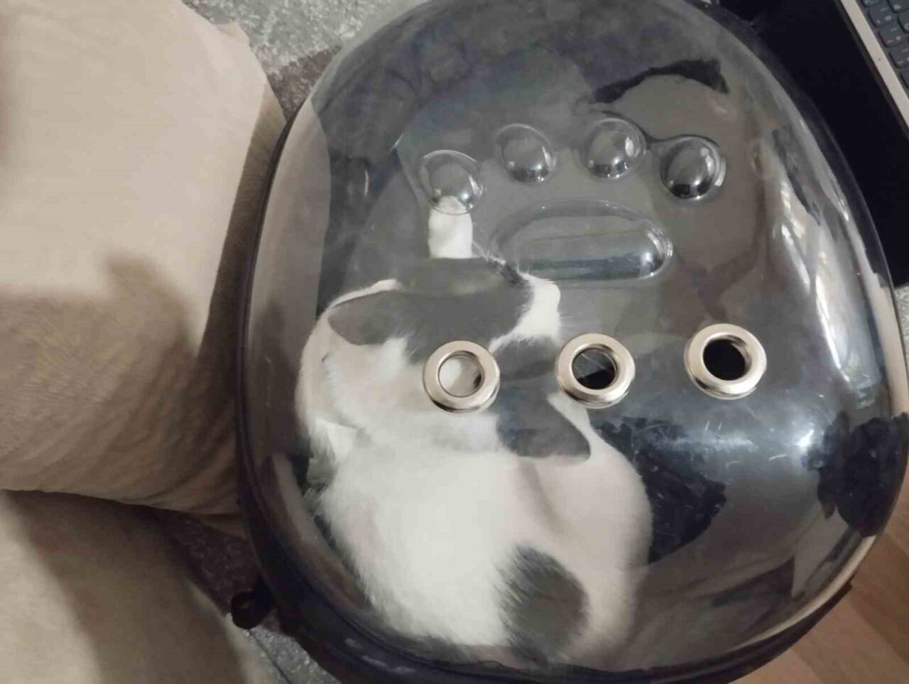 Kayseri Büyükşehir Belediyesi İtfaiye Daire Başkanlığı ekipleri, Melikgazi'deki bir apartmanın