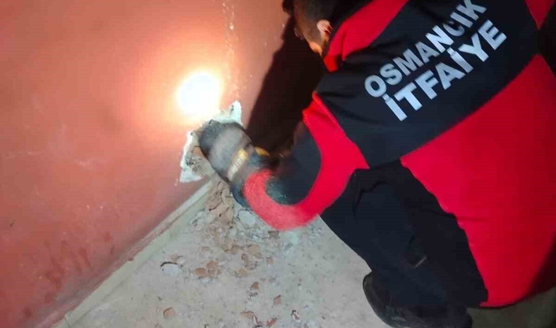 Çorum'un Osmancık ilçesinde bir kedi, 5 katlı bir apartmanın havalandırma
