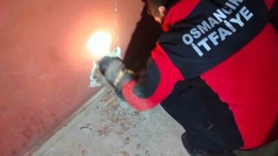 Çorum'un Osmancık ilçesinde bir kedi, 5 katlı bir apartmanın havalandırma