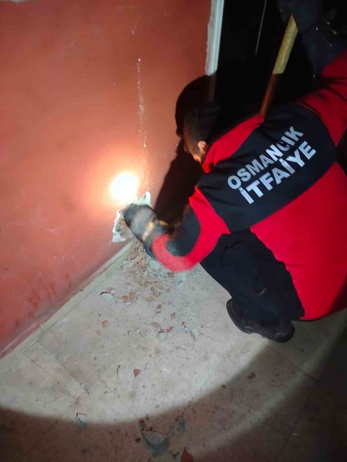 Çorum'un Osmancık ilçesinde bir kedi, 5 katlı bir apartmanın havalandırma