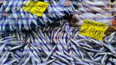 Havaların soğumasıyla birlikte Afyonkarahisar'ın Şuhut ilçesindeki balık tezgahlarında hamsi yoğun