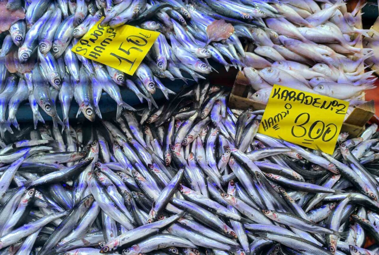 Havaların soğumasıyla birlikte Afyonkarahisar'ın Şuhut ilçesindeki balık tezgahlarında hamsi yoğun