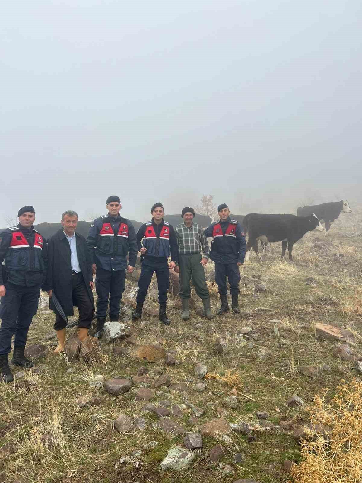 Kaybolan Büyükbaş Hayvanlar, Seydişehir’de Jandarma Tarafından Bulundu ve Sahibine İade Edildi