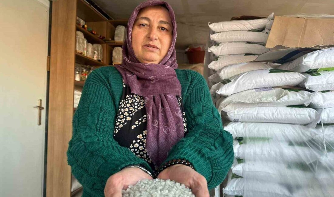 Çankırı'da yaşayan 56 yaşındaki Fatma Şahin, 4 çocuk annesi olarak