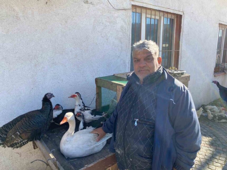 Edirne’de Yılbaşı Öncesi Kanatlı Hayvan Satışları Beklentileri Karşılamadı