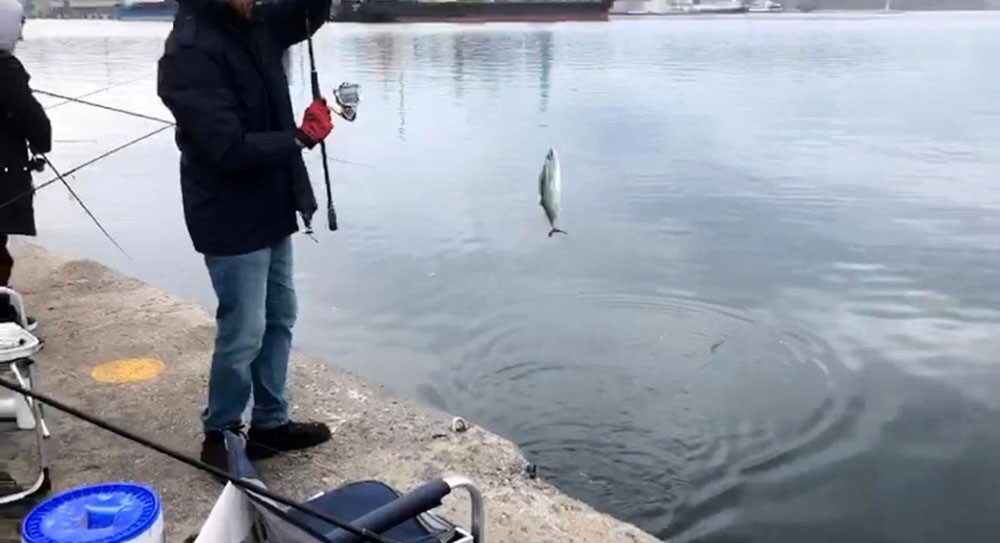 Balıkesir'in Bandırma ilçesindeki L İskele, sabah erken saatlerden itibaren amatör