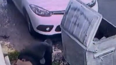 Pendik’te İSKİ Çalışanının Bilinçli Olarak Su Borusunu Kestiği İddiası Tepkilere Neden Oldu Pendik'te bir İSKİ çalışanının su borusunu kasıtlı olarak kestiği ve