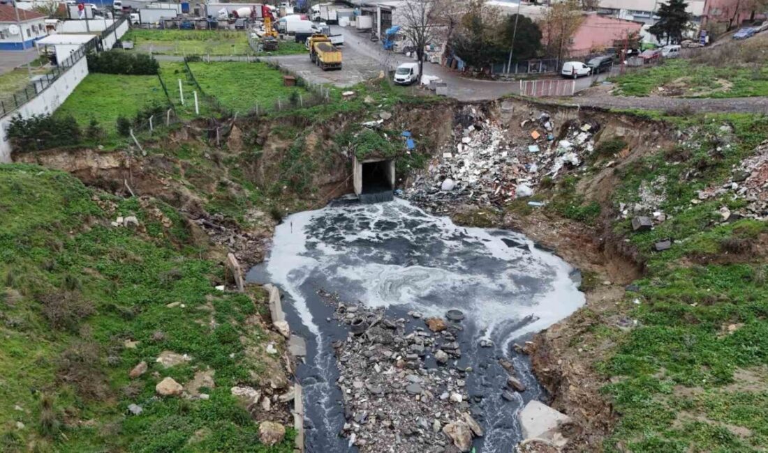 Artan sanayileşme ve nüfus, Marmara Denizi'ni tehdit ediyor. İSKİ'ye ait