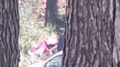 İzmir'in Buca ilçesinde ormanlık alanda bir kadın, belirsiz bir kişi