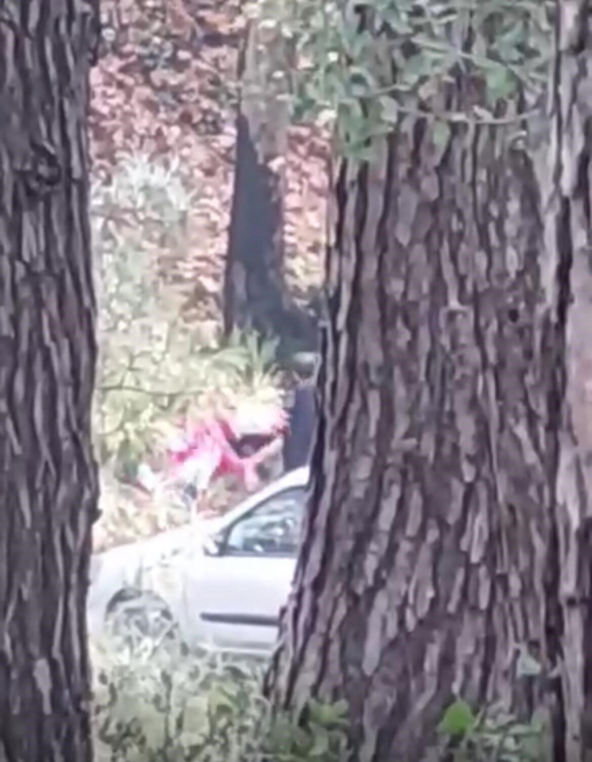 İzmir'in Buca ilçesinde ormanlık alanda bir kadın, belirsiz bir kişi