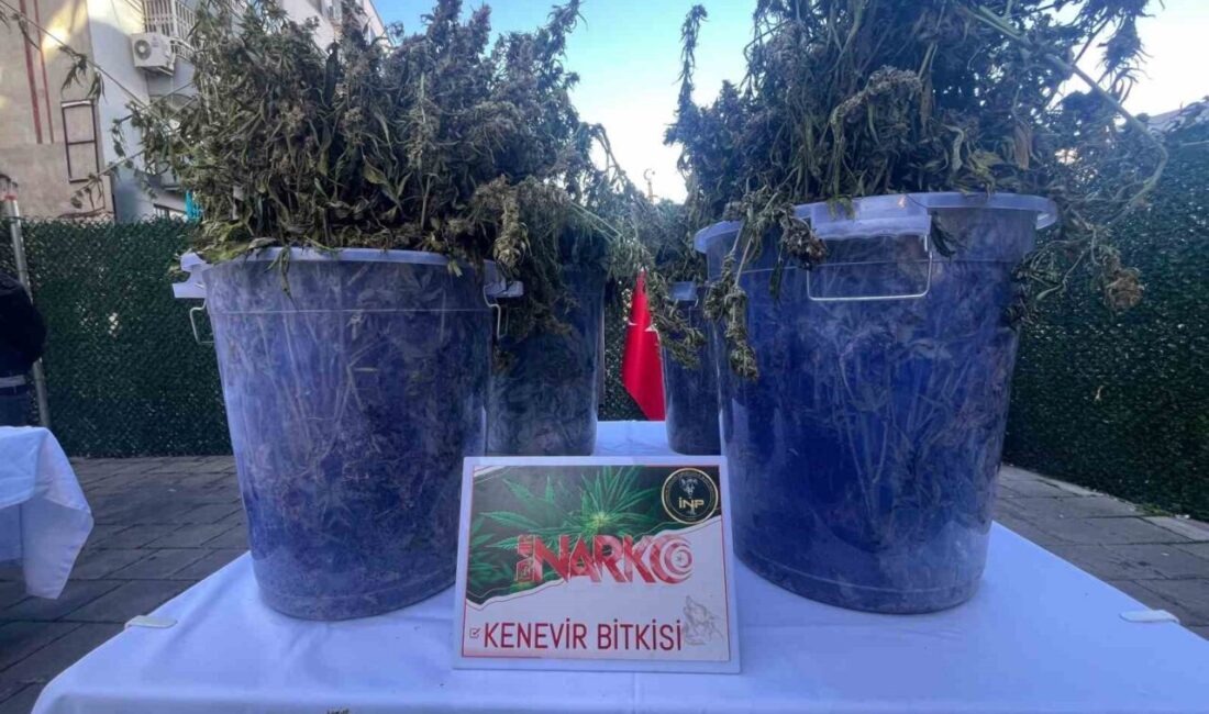 İzmir'de narkotik polisinin gerçekleştirdiği operasyonlarda 3 milyon 166 bin 874