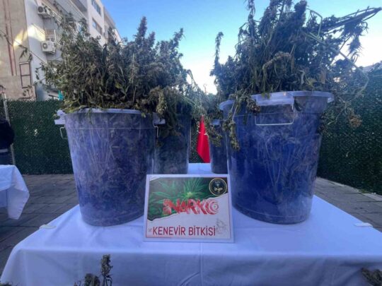 İzmir'de narkotik polisinin gerçekleştirdiği operasyonlarda 3 milyon 166 bin 874