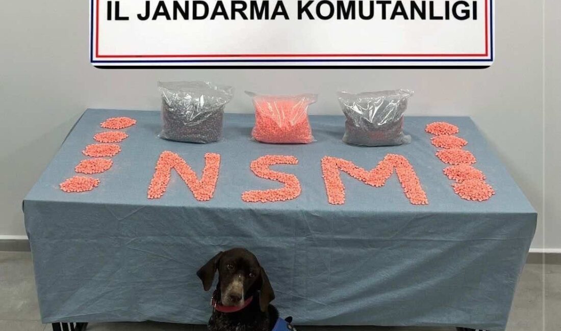 İzmir’den Denizli’ye uyuşturucu hap taşıyan M.O., Jandarma KOM’un bir aylık