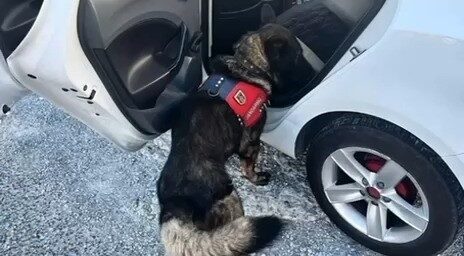 Muğla Jandarması, 22-28 Aralık 2025 tarihleri arasındaki denetim raporunu yayımladı.