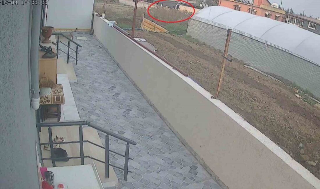 Hatay'da 58 yaşındaki Suriye uyruklu Abdul Rahim Alashkar, diş tedavisi