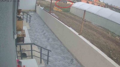 Hatay'da 58 yaşındaki Suriye uyruklu Abdul Rahim Alashkar, diş tedavisi