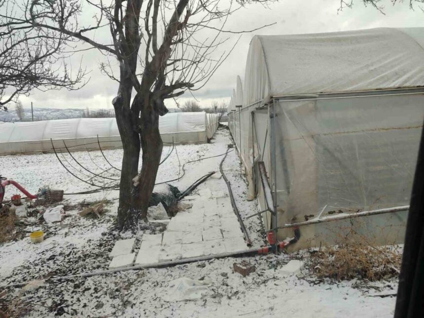 Eskişehir’deki seralar dondurucu soğuklar nedeniyle buzla kaplandı, çiftçiler zor anlar yaşadı.