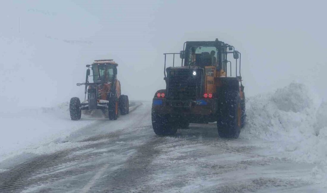 Karabet Geçidi’nde Yoğun Kar Yağışı Nedeniyle Ulaşımda Aksamalar Yaşanıyor Van'da etkili olan yoğun kar yağışı, hayatı olumsuz etkiledi ve