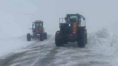 Van'da etkili olan yoğun kar yağışı, hayatı olumsuz etkiledi ve