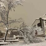 Safranbolu’da yoğun kar yağışı ağaçların dallarını kırdı, temizlik çalışmaları başlatıldı.