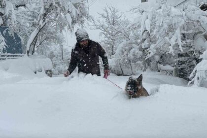 Karabük’te yoğun kar yağışı hayatı olumsuz etkiliyor, ekipler ulaşım için yoğun çaba harcıyor.