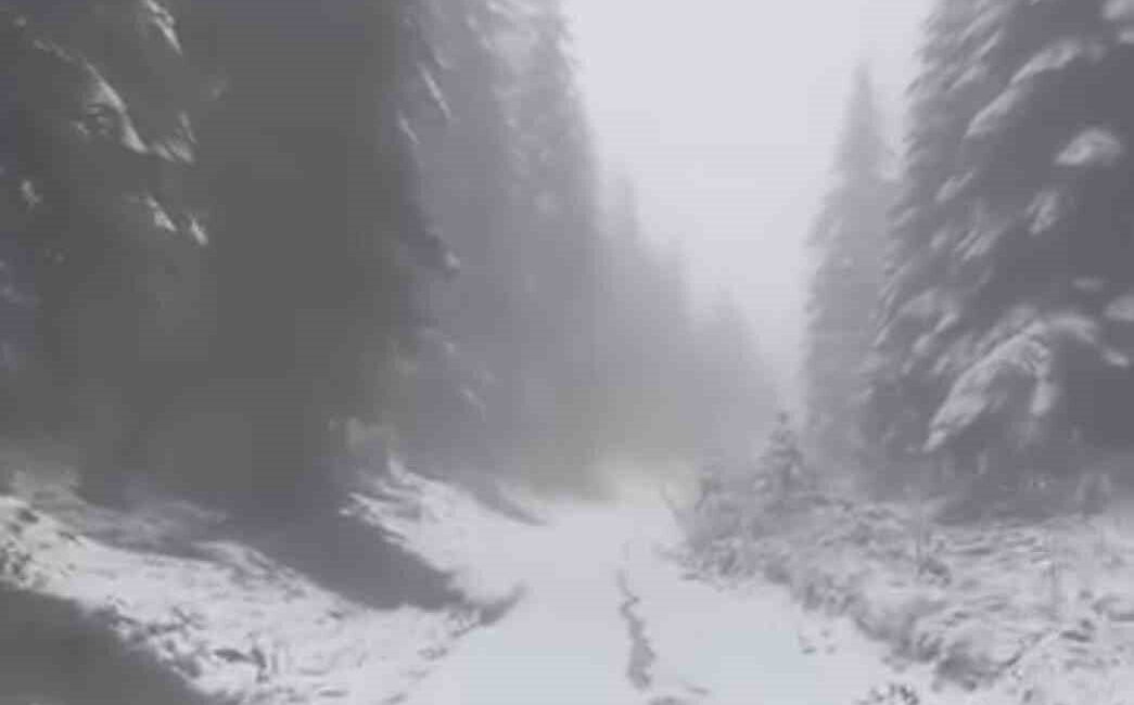 Karabük’ün Yüksek Kesimlerinde Devam Eden Kar Yağışı, Vatandaşları Doğanın Keyfini Çıkarmaya Yönlendirdi Karabük’te yüksek bölgelerde kar yağışı devam ediyor. Ovacık’taki Beydili Köyü’nde