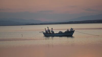 Bursa'nın Karacabey ilçesinde, Manyas Barajı ve Gölü'ndeki su seviyelerinin düşmesi